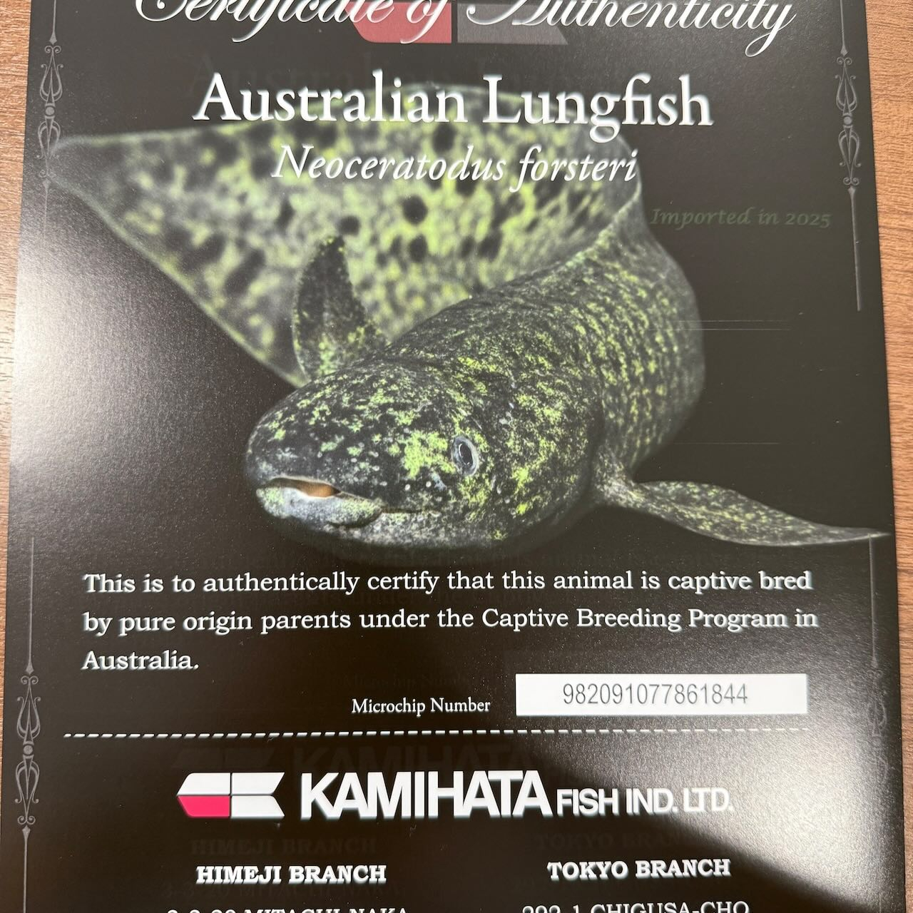 ★ボーナスSALE★