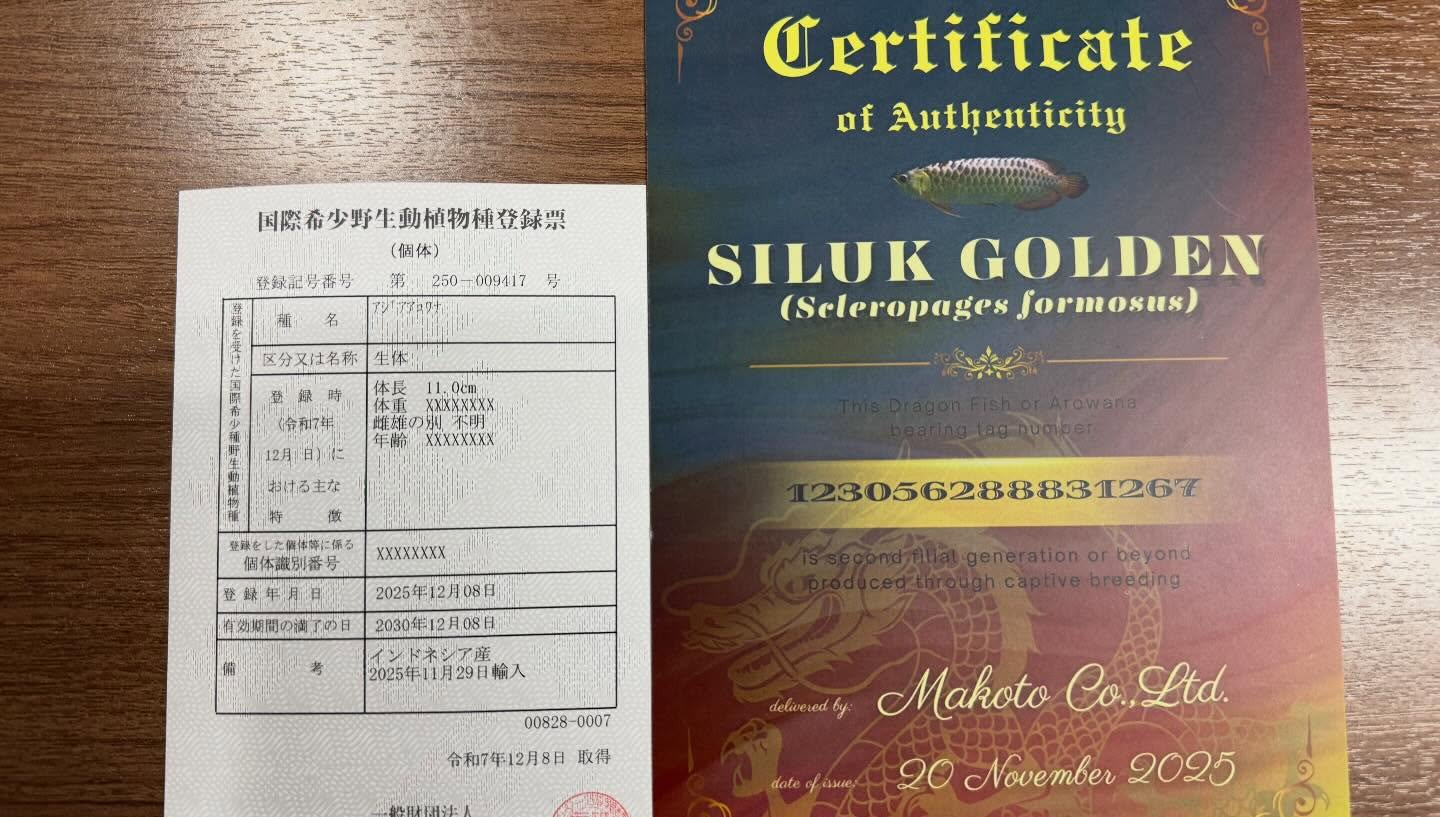 aquastyleg.base.shop/items/127...