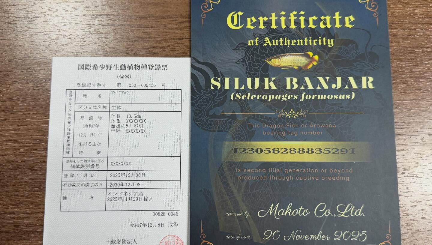 aquastyleg.base.shop/items/127...