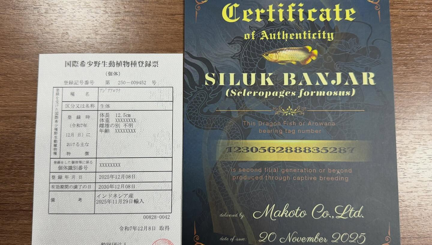 aquastyleg.base.shop/items/127...