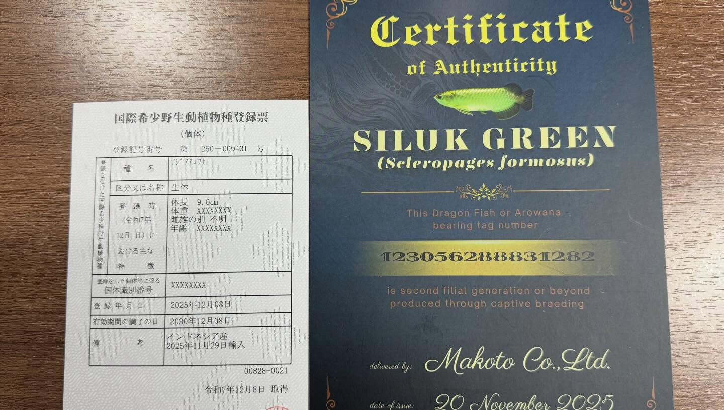 aquastyleg.base.shop/items/127...