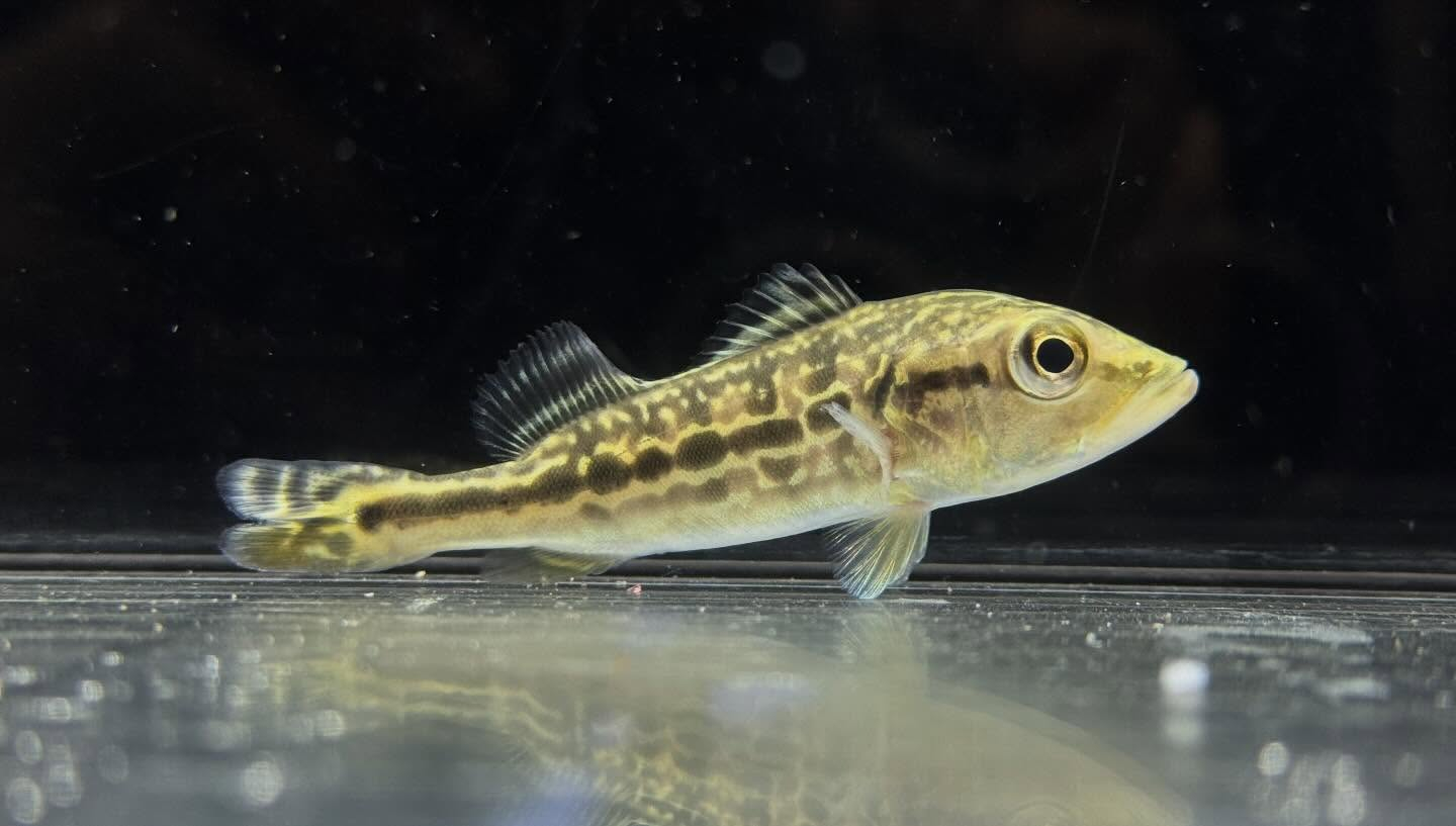 セレクト新入荷🔥