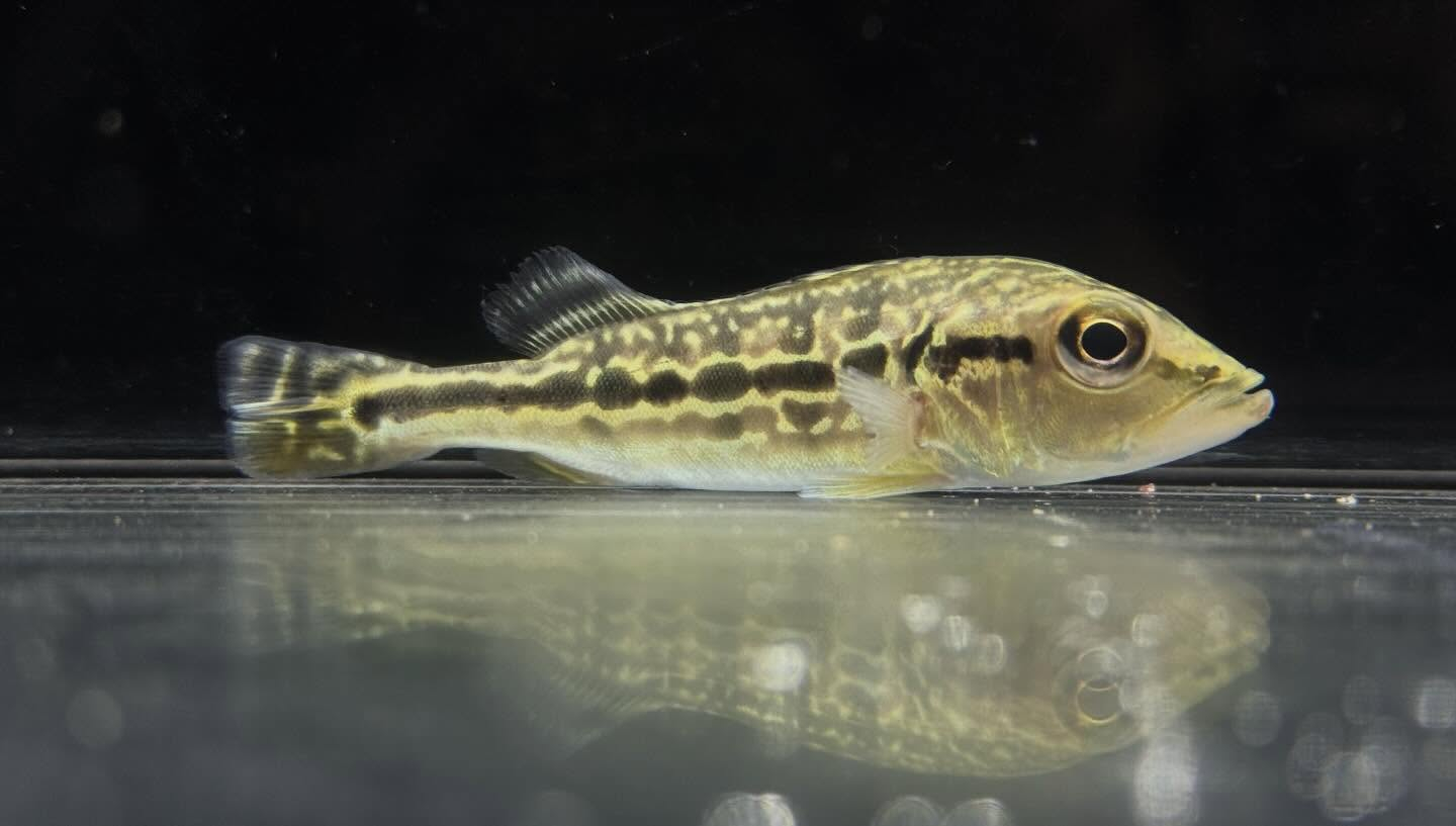 セレクト新入荷🔥