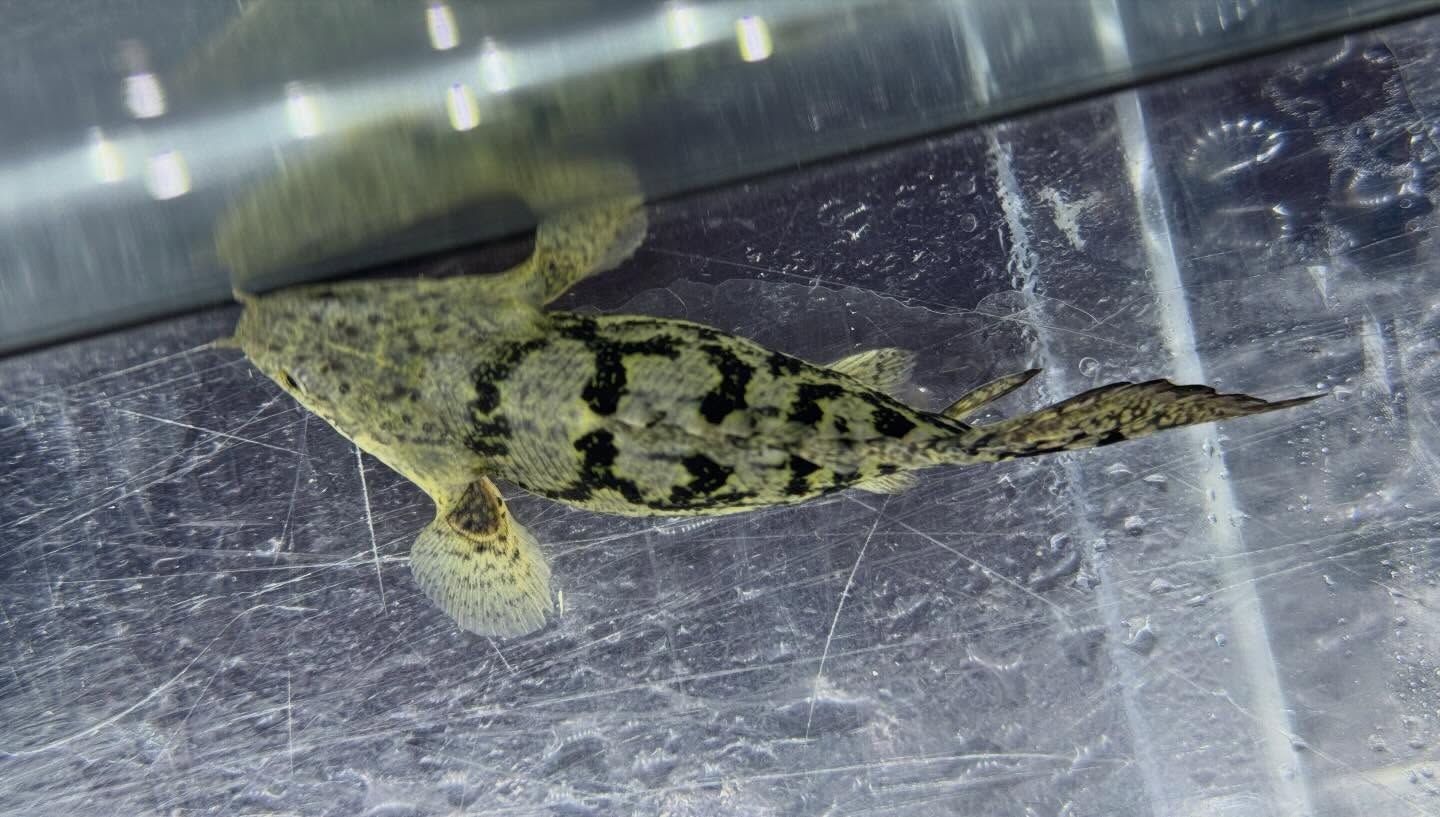 セレクト新入荷🔥