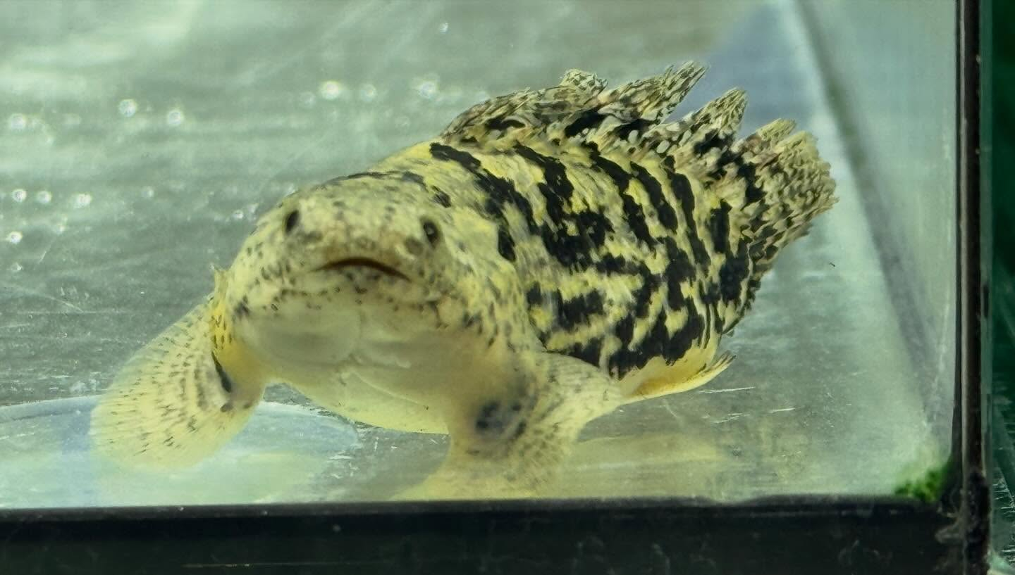 セレクト新入荷🔥