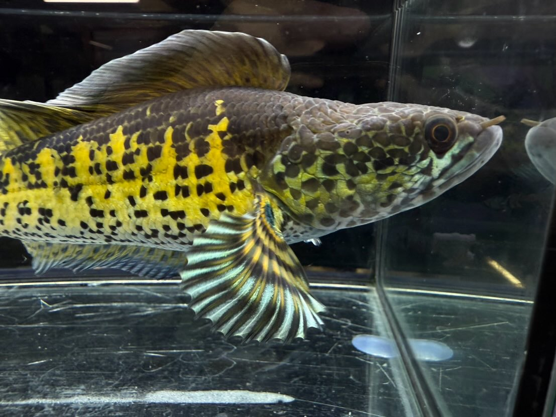 セレクト新入荷🔥