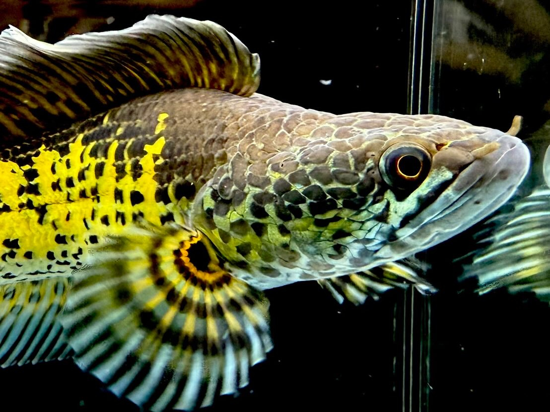 セレクト新入荷🔥