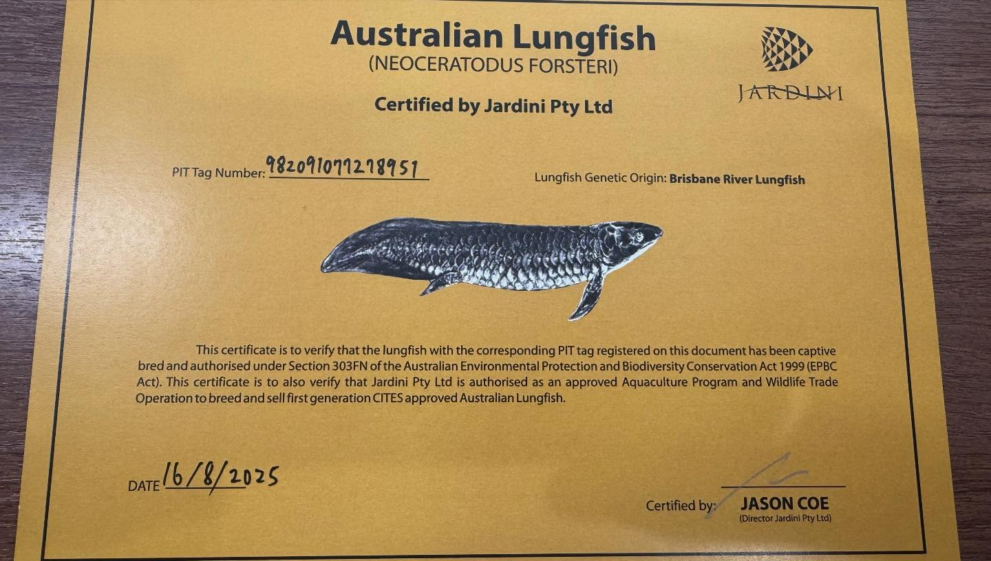 aquastyleg.base.shop/items/131...