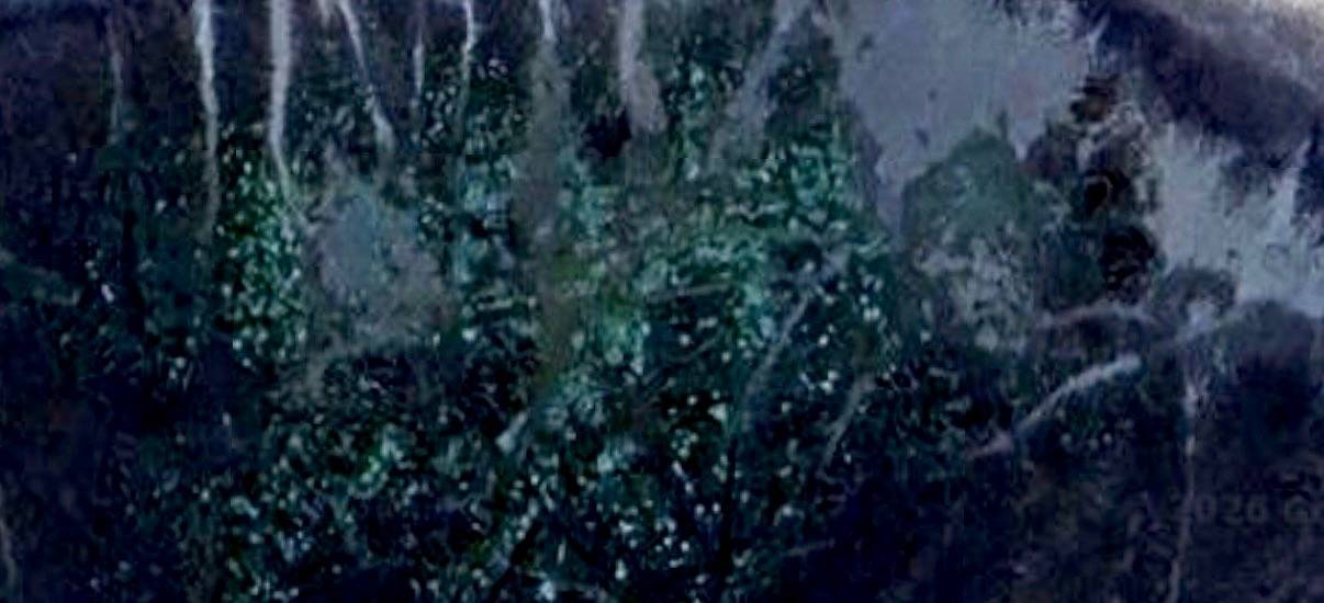 チャド共和国、取り残された川の〝シンチャドビキール〟