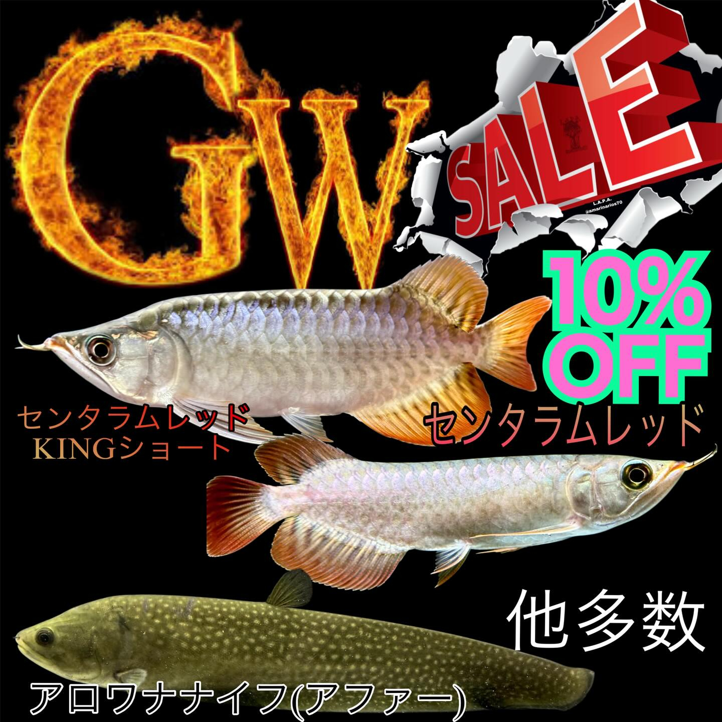 GWセールのお知らせ