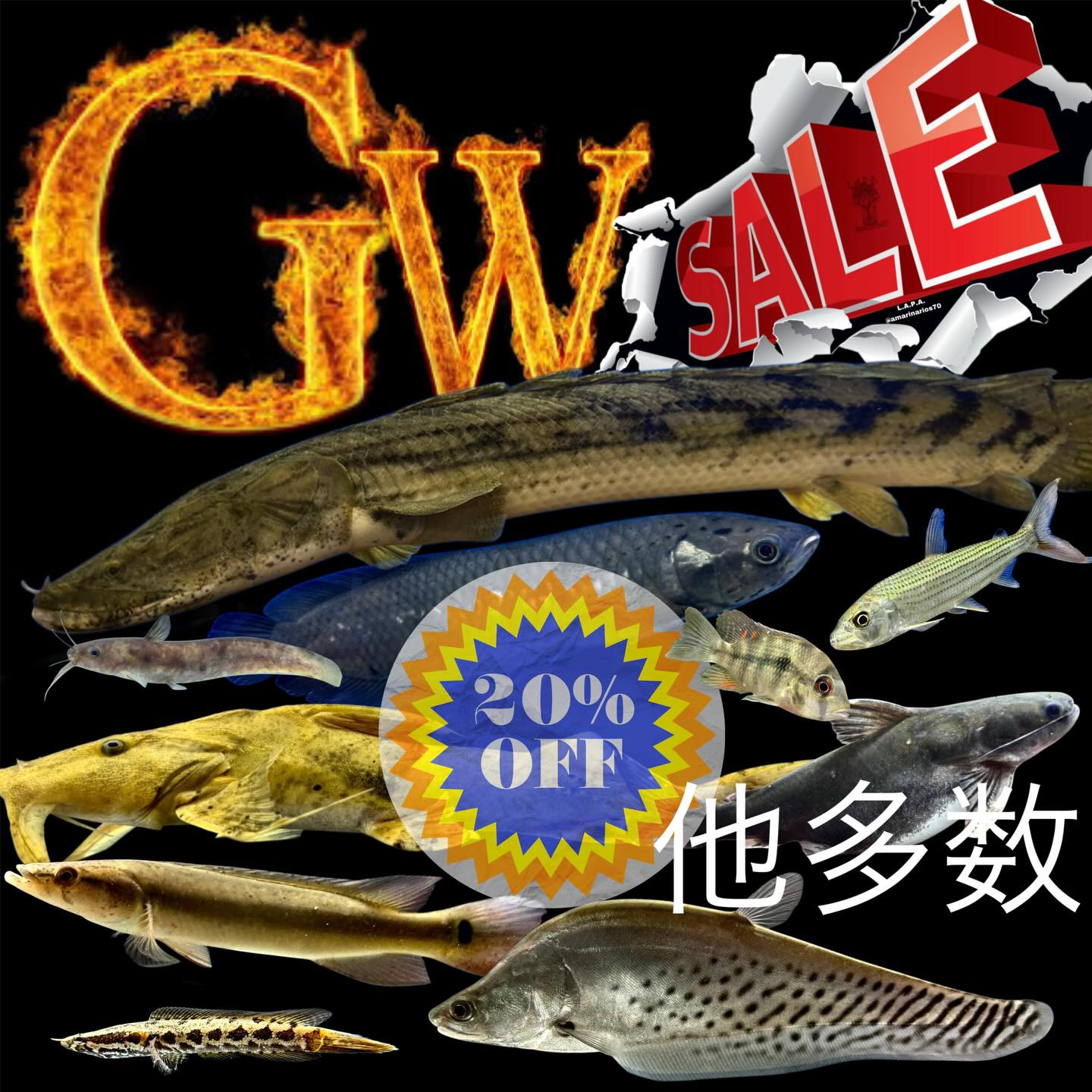 GWセールのお知らせ
