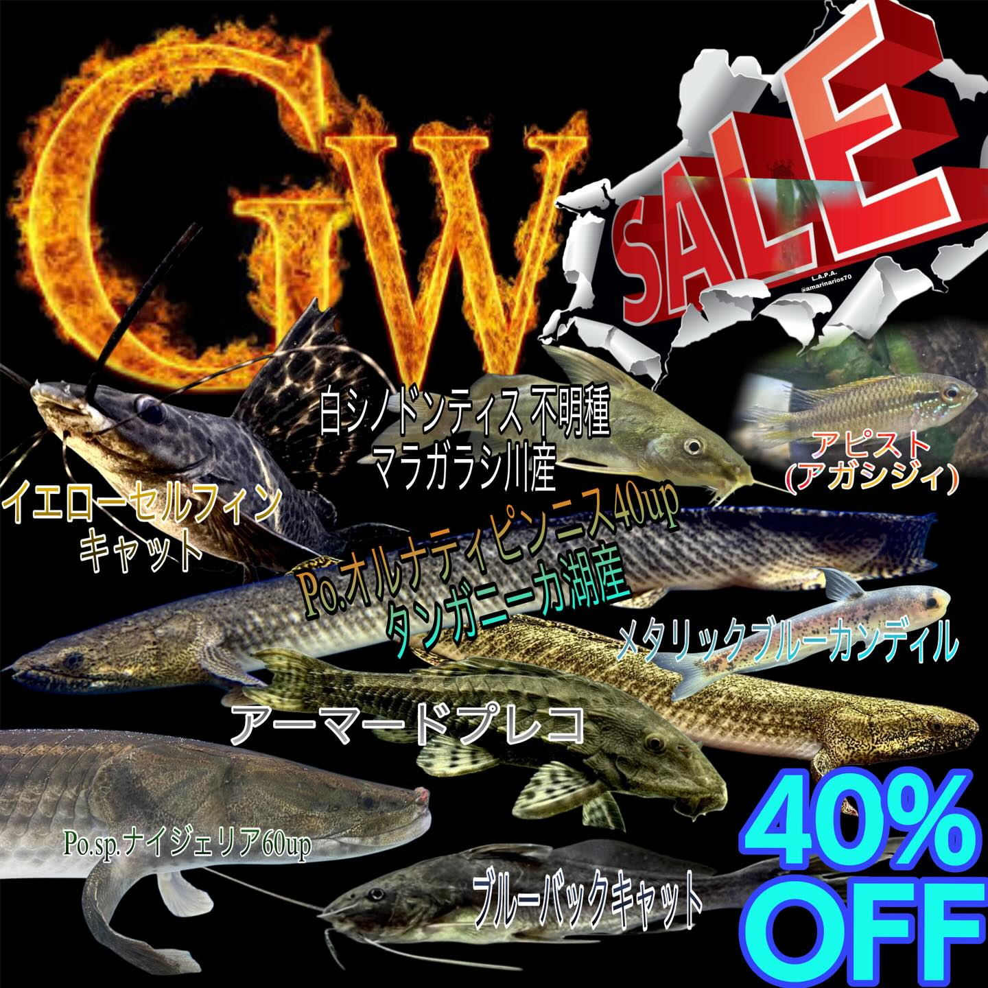 GWセールのお知らせ