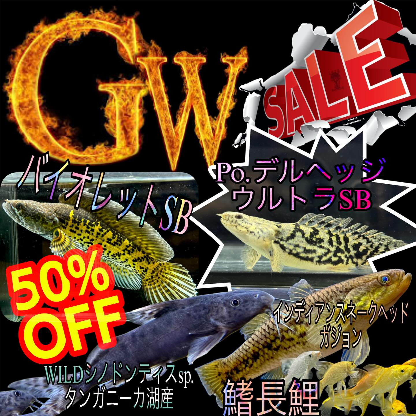 GWセールのお知らせ