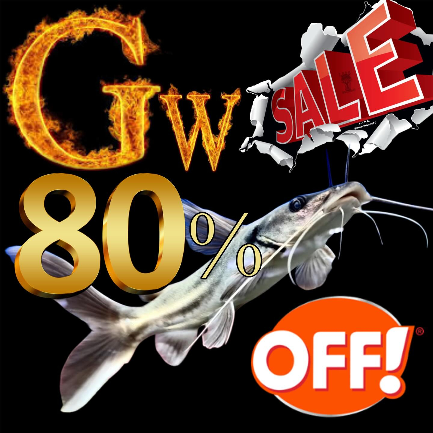 GWセールのお知らせ