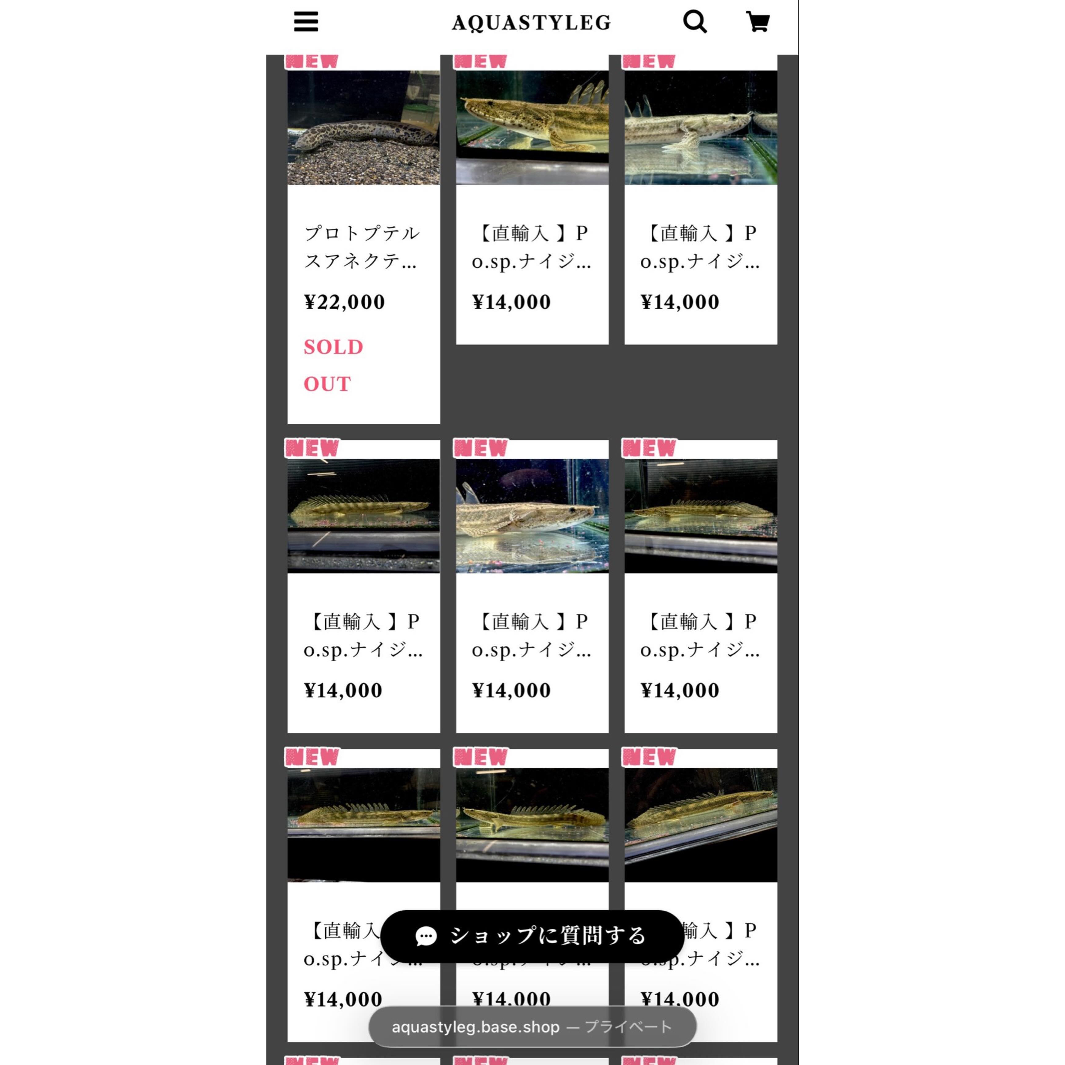 Po.sp.ナイジェリア20up