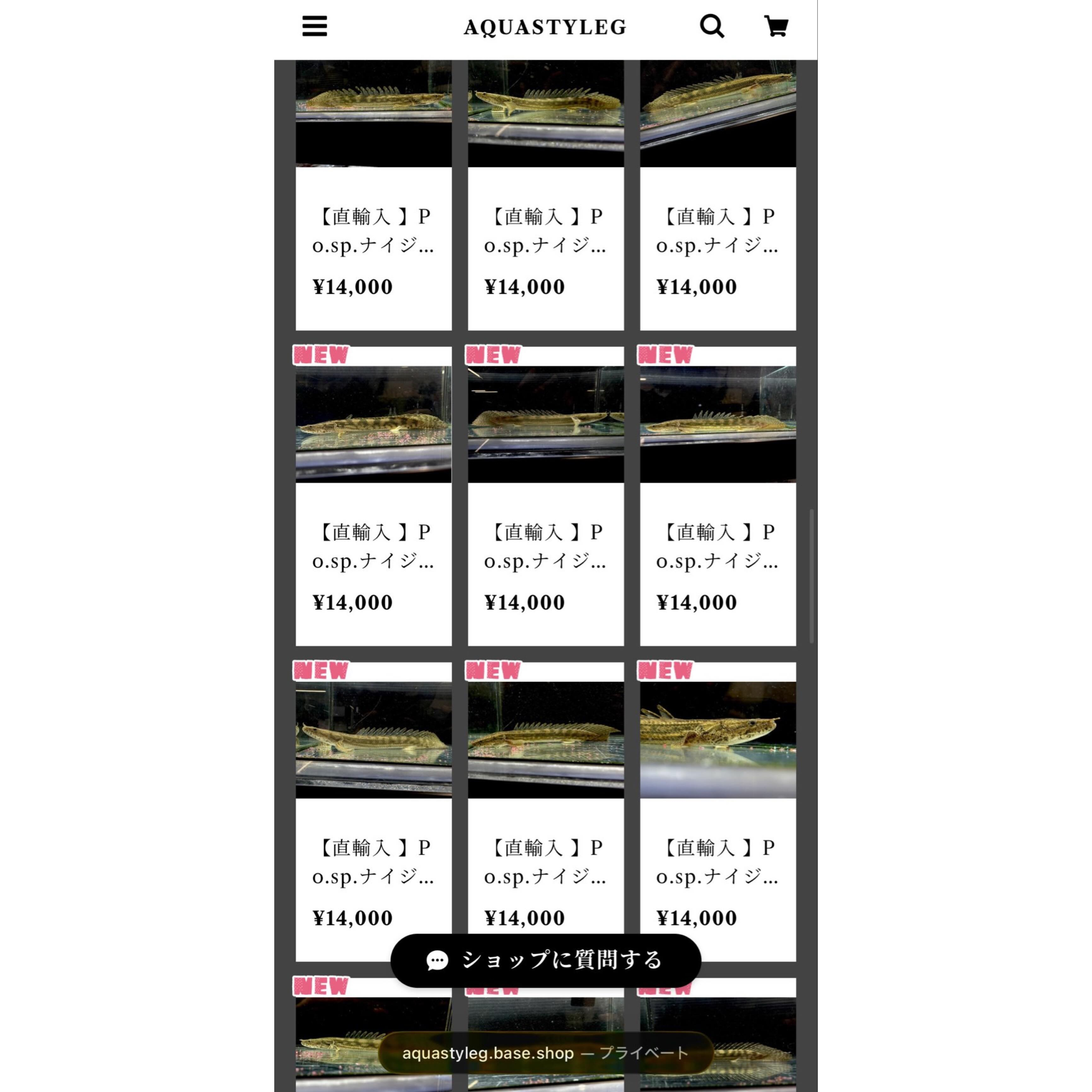 Po.sp.ナイジェリア20up