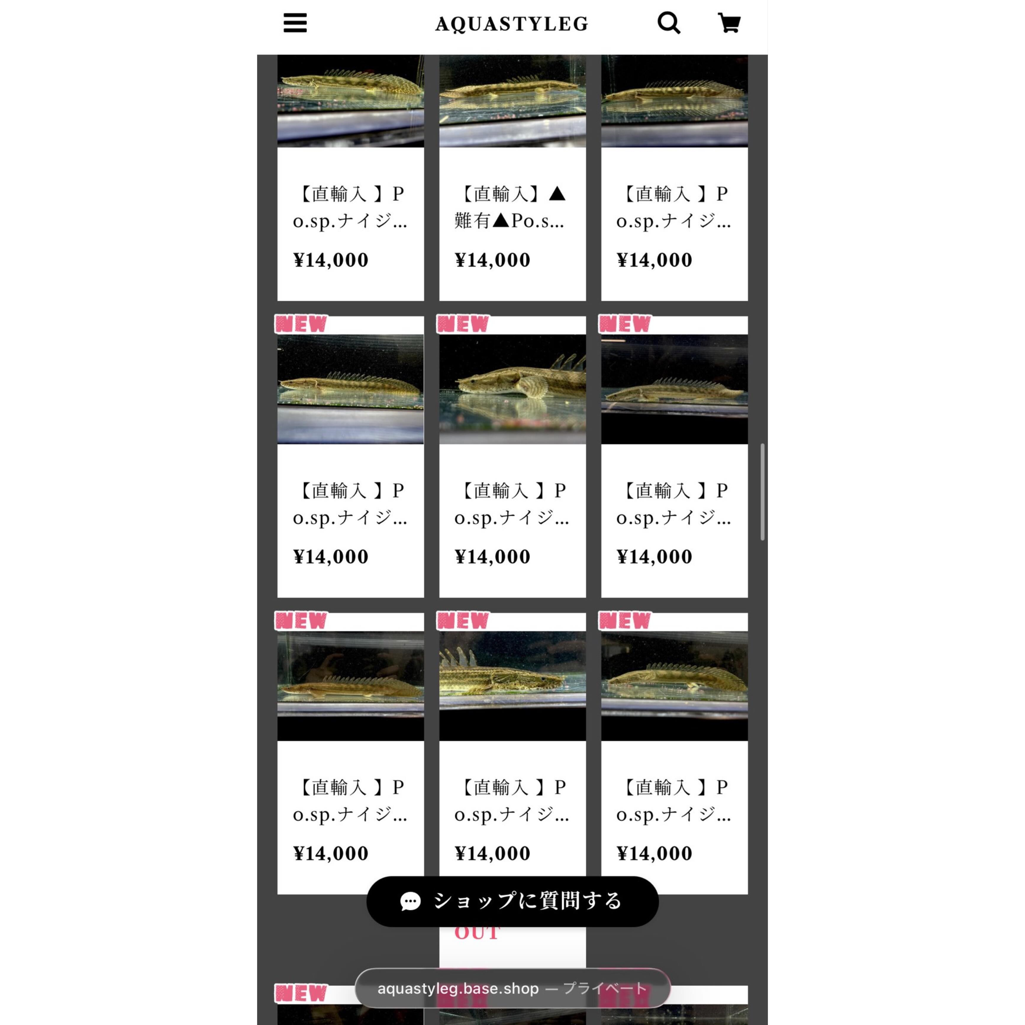 Po.sp.ナイジェリア20up