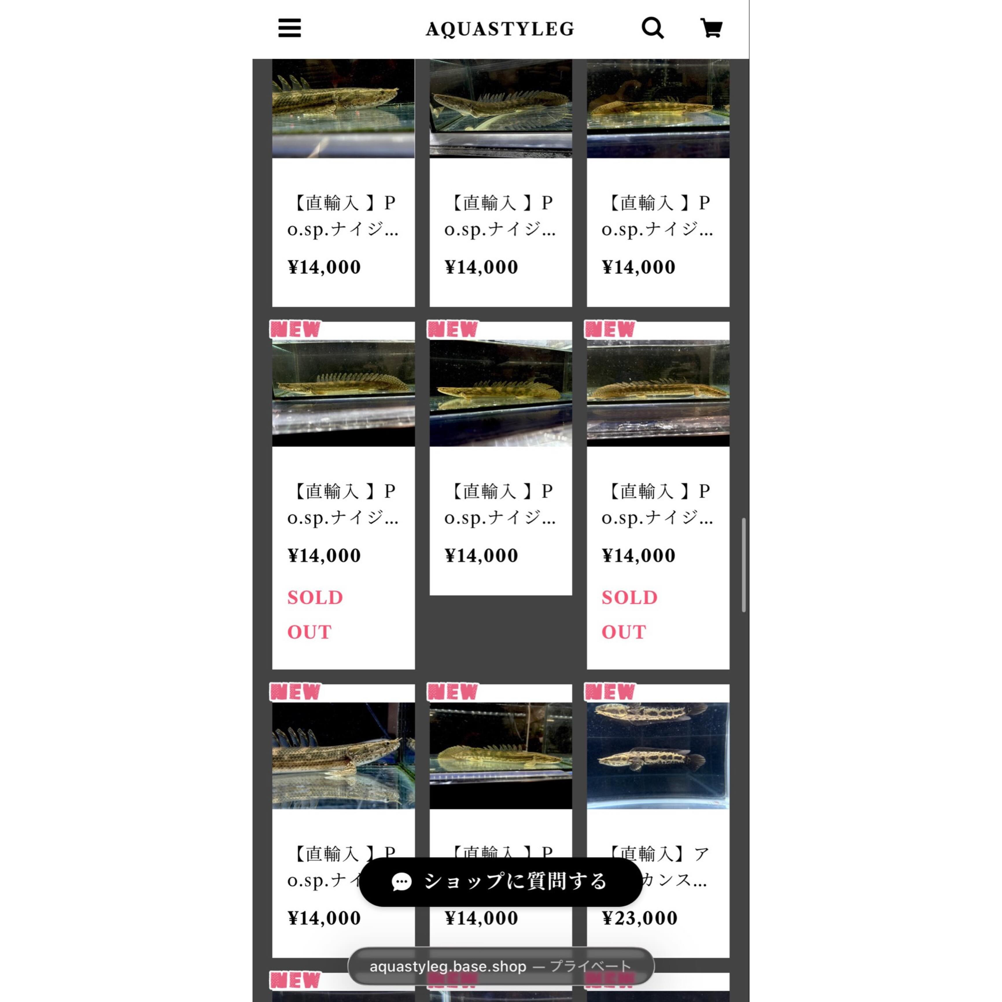 Po.sp.ナイジェリア20up