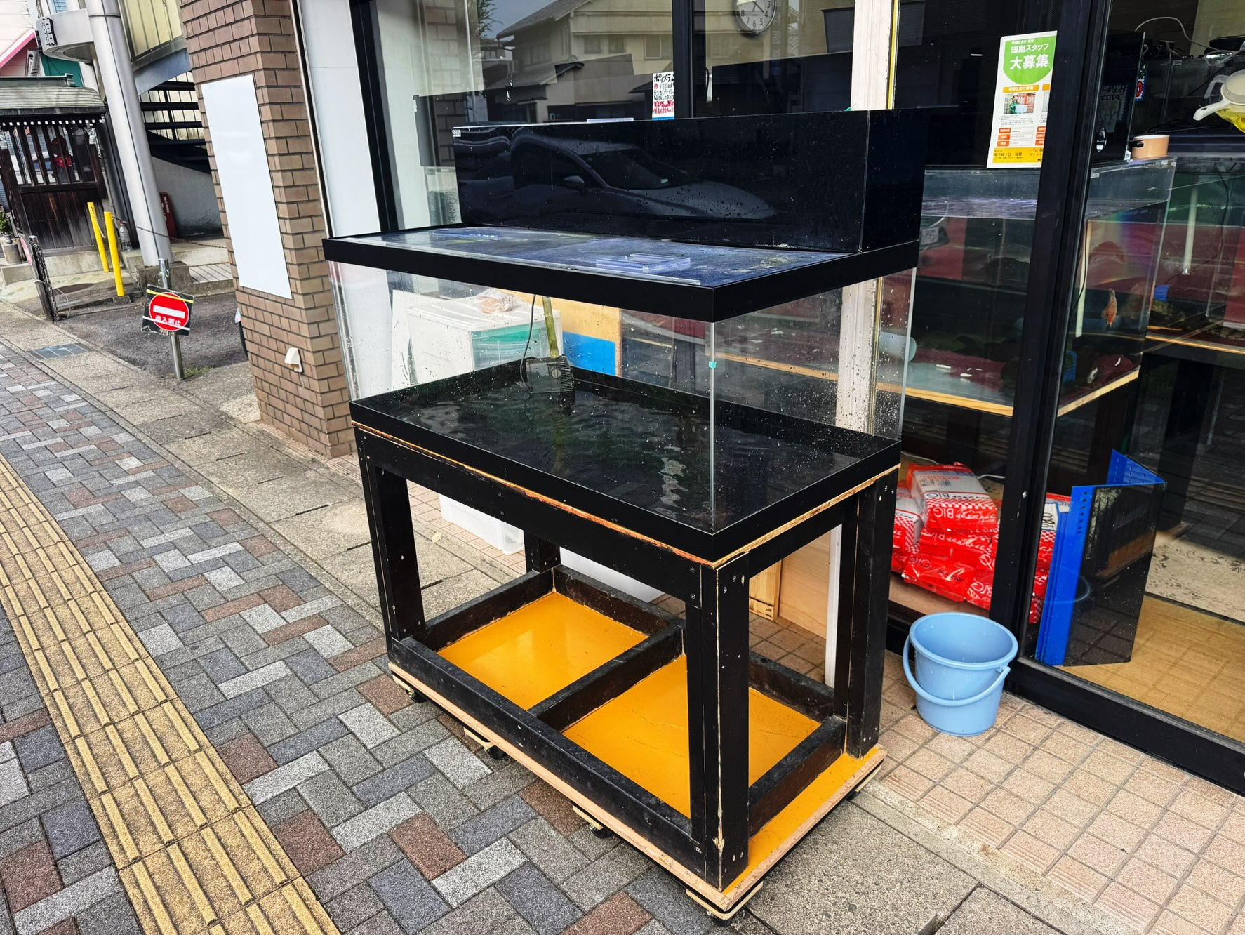 引き取り限定 中古水槽販売】