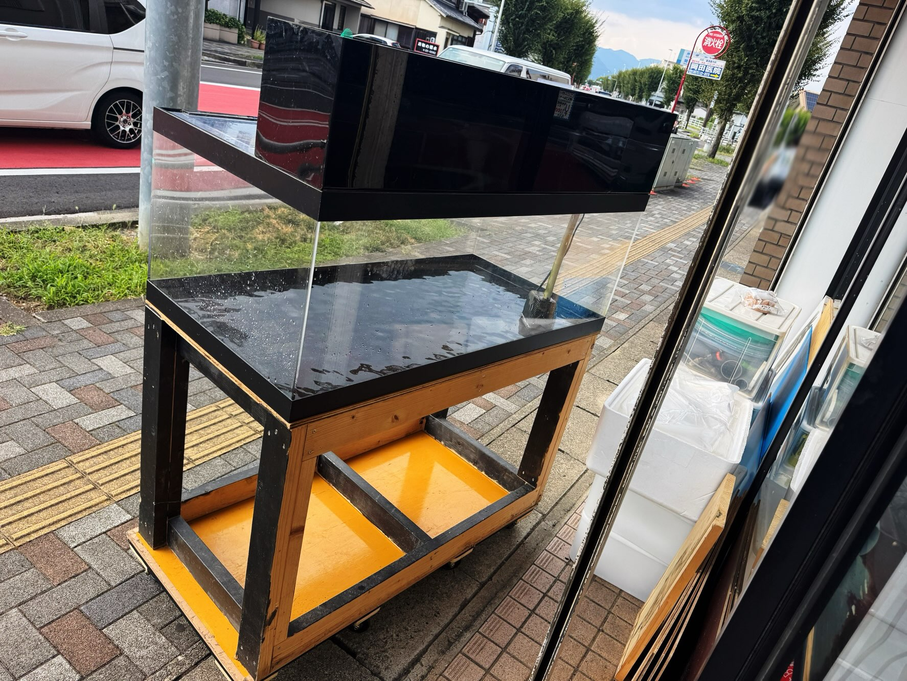 引き取り限定 中古水槽販売】