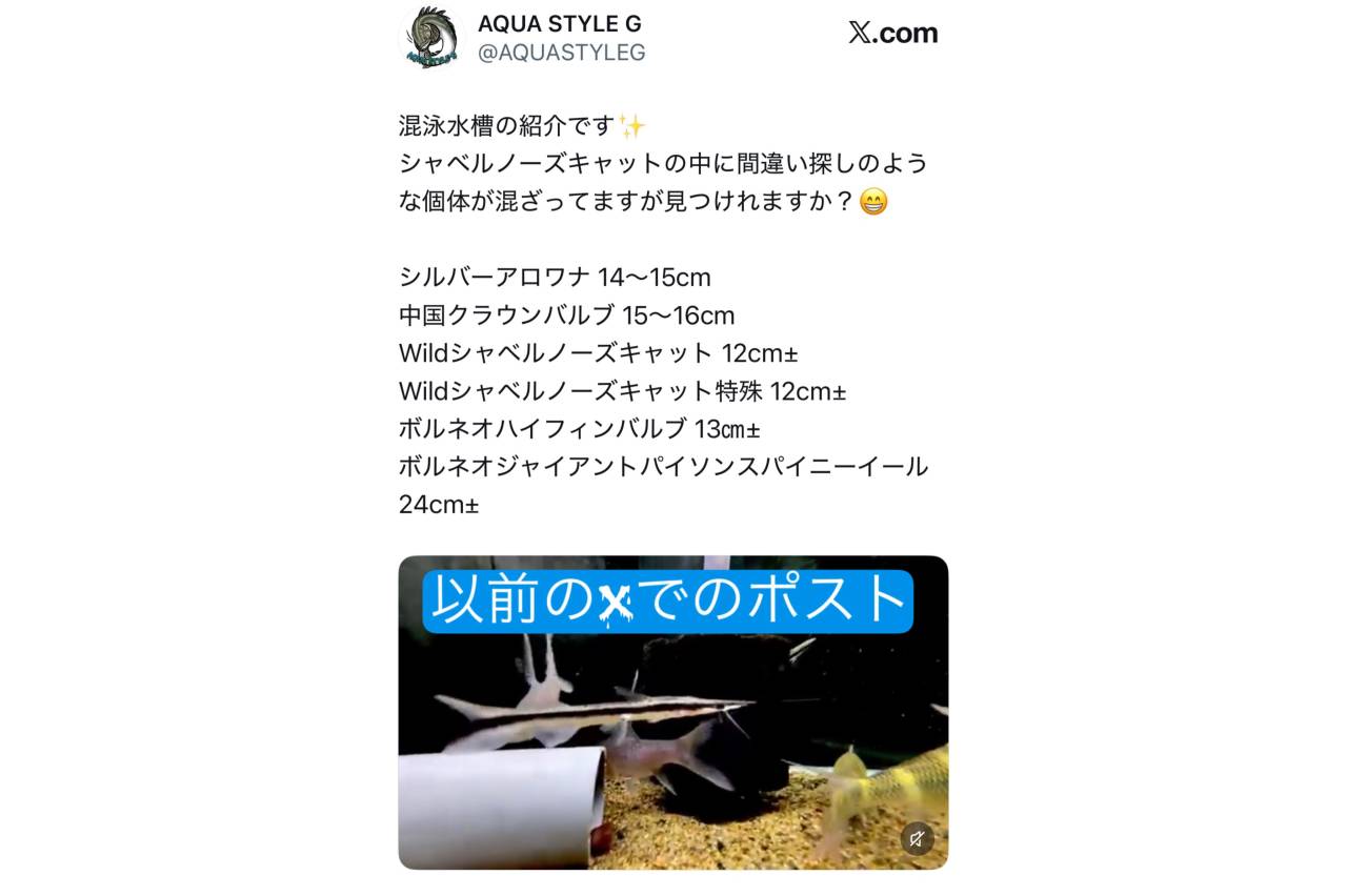 以前Xで投稿させていただいた