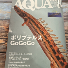 ポリプテルス GO！GO！GO！