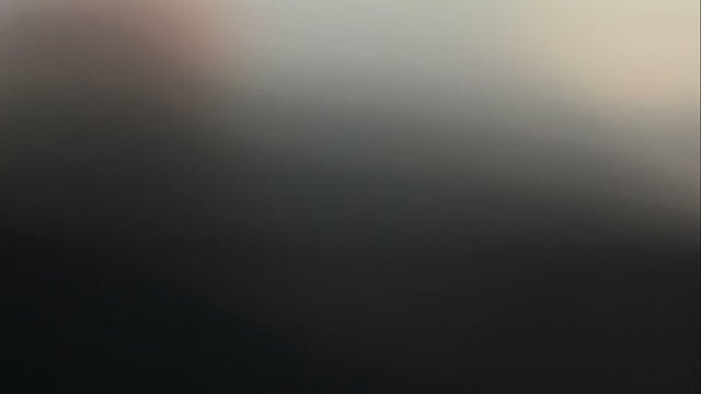 見た目がやけに可愛いこの子たち…